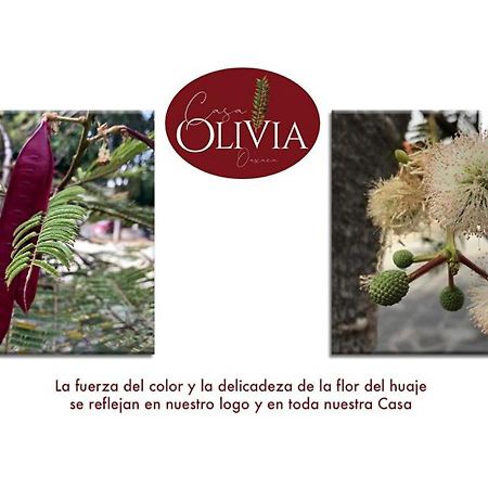 Casa Olivia Oaxaca Hotel Exterior photo